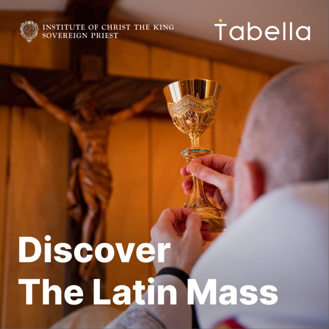 Cover image of Discover The Latin Mass channel