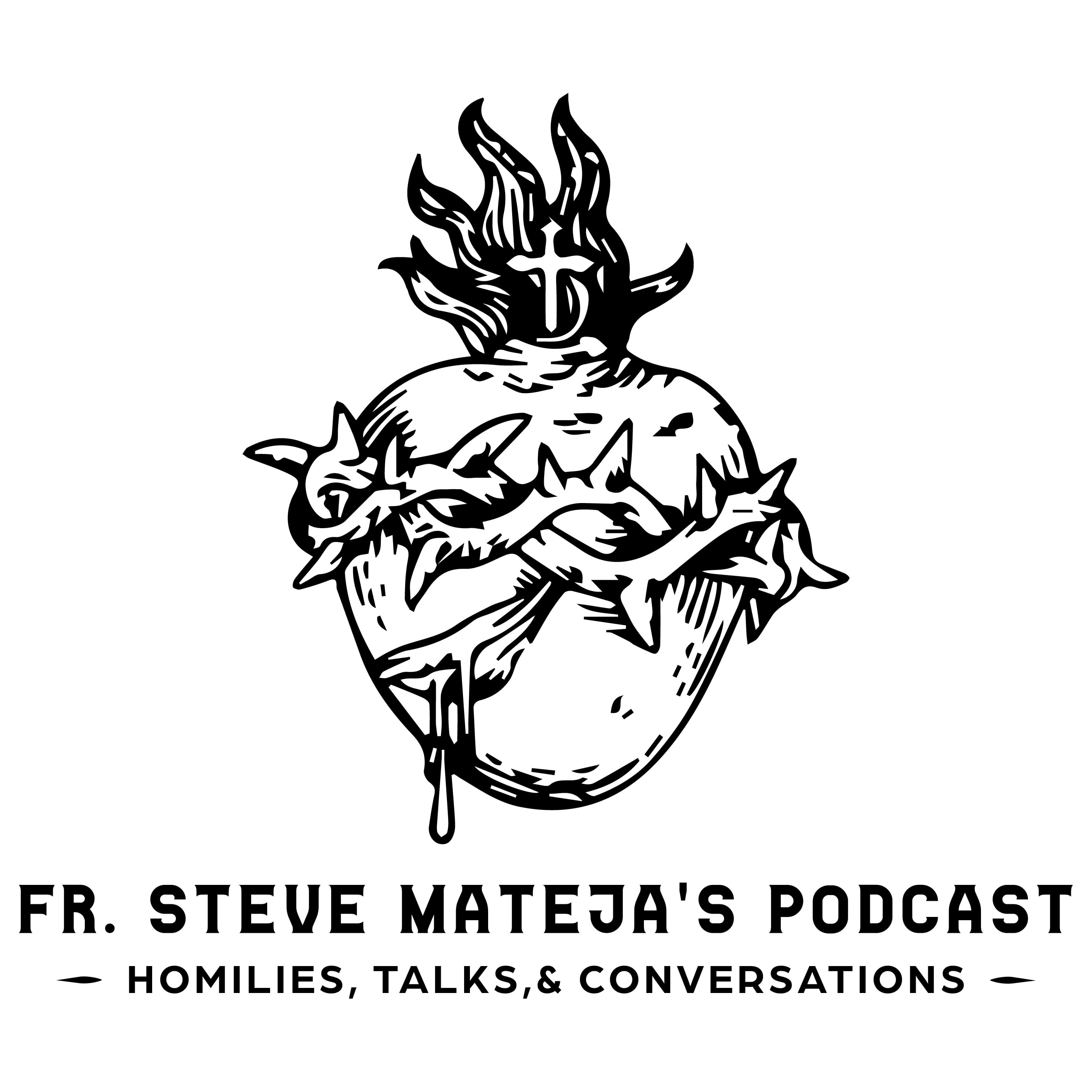 Cover image of Fr. Steve Mateja's Podcasts channel