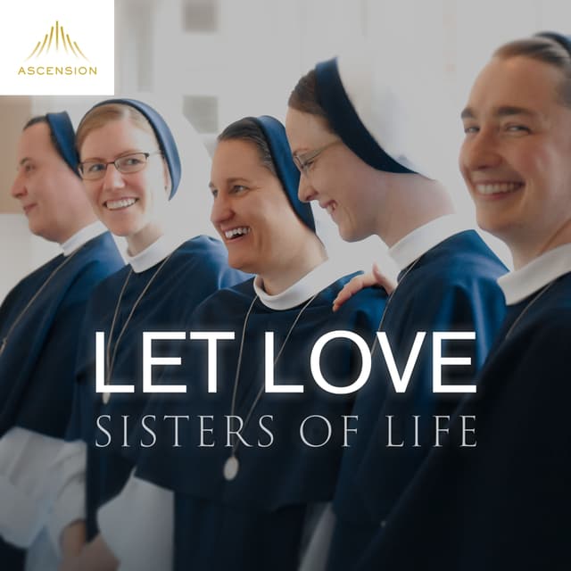 Cover image of Let Love: A podcast with the Sisters of Life channel