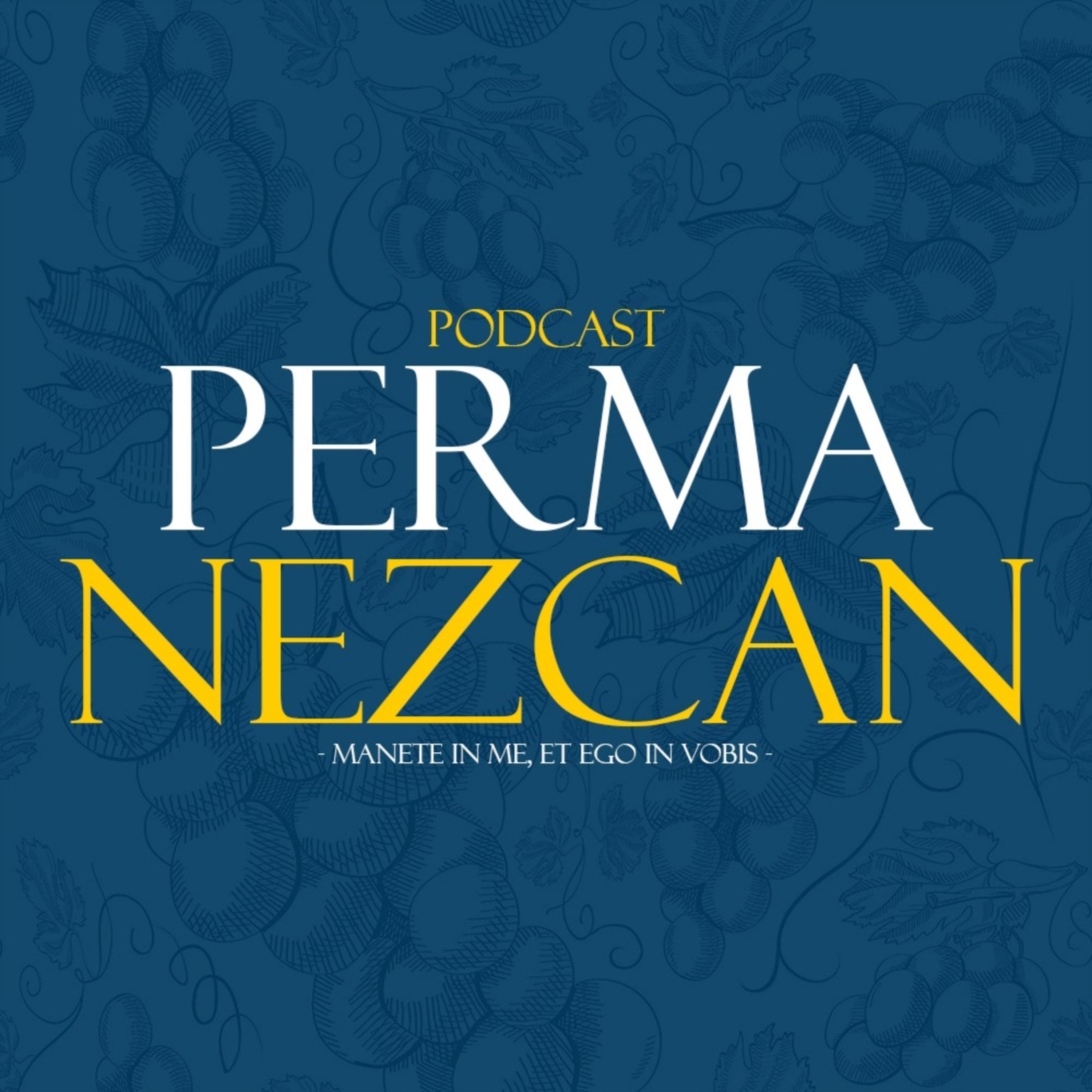 Cover image of Permanezcan channel