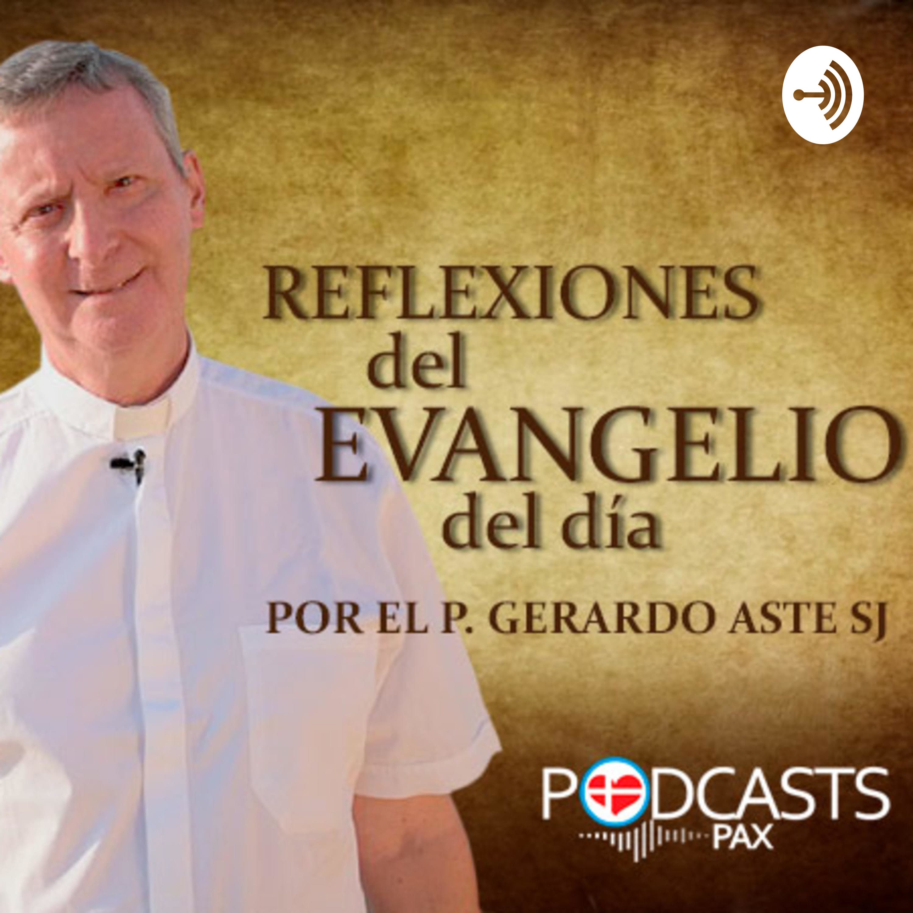Cover image of Reflexiones del Evangelio del día channel