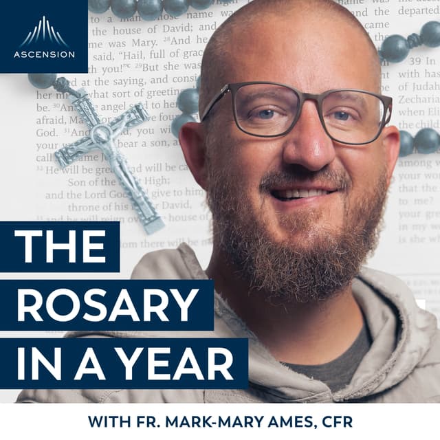 Cover image of Rosary in a Year channel