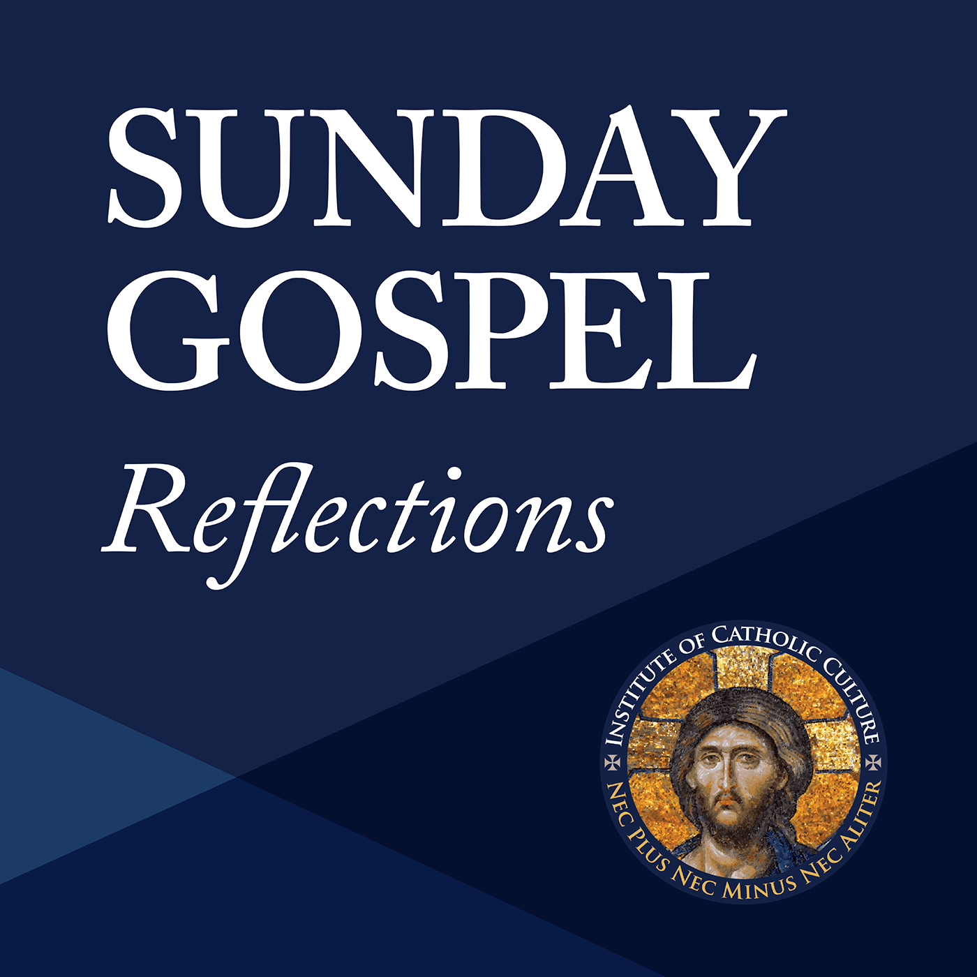 Cover image of Sunday Gospel Reflections channel