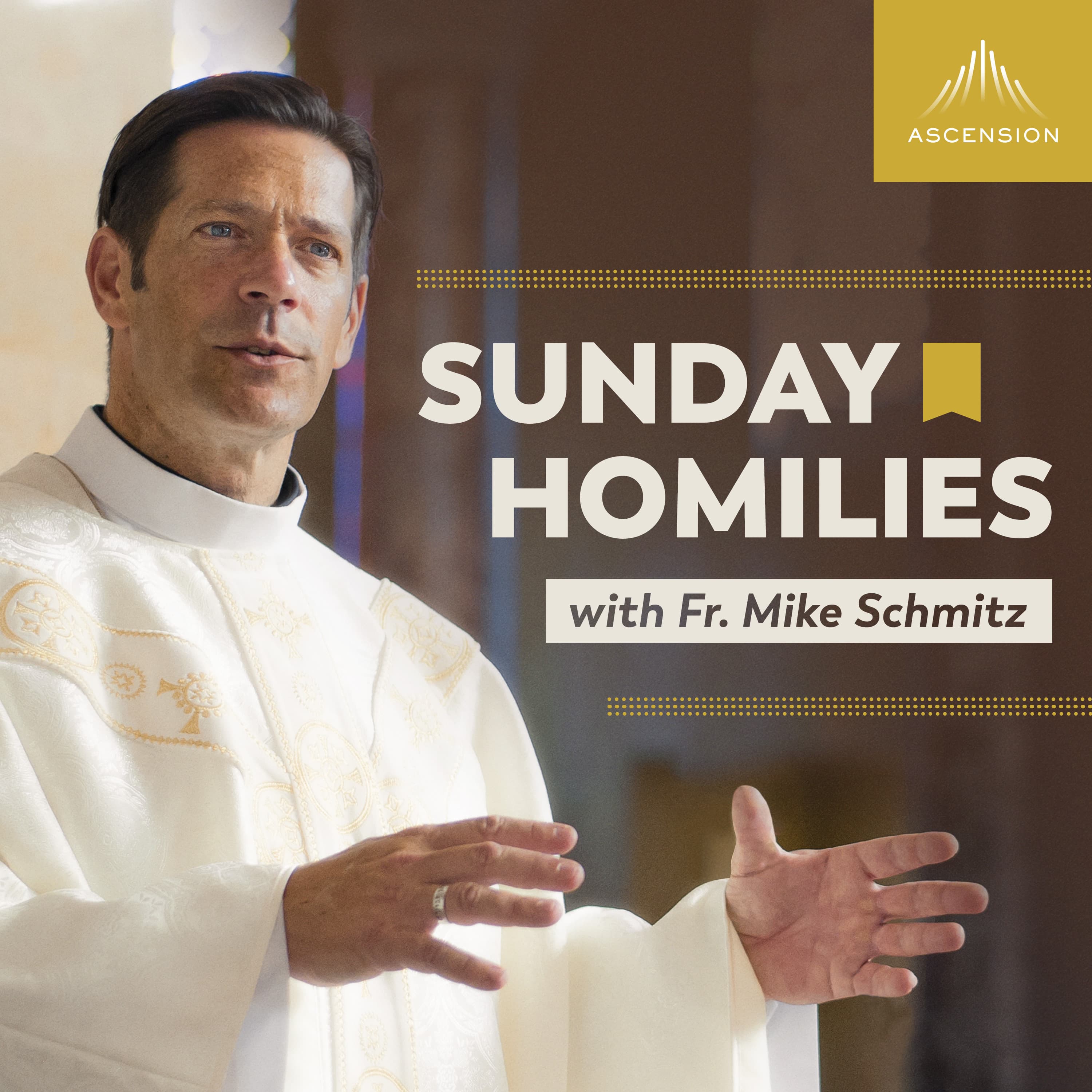Cover image of Sunday Homilies with Fr. Mike Schmitz channel