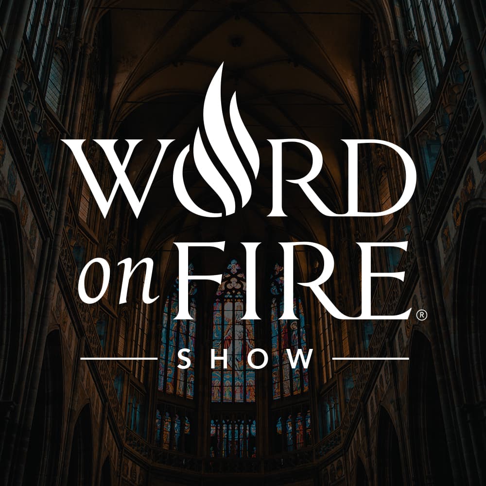 Cover image of The Word on Fire Show - Catholic Faith and Culture channel