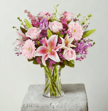 Cover image of Alegria Flowers company