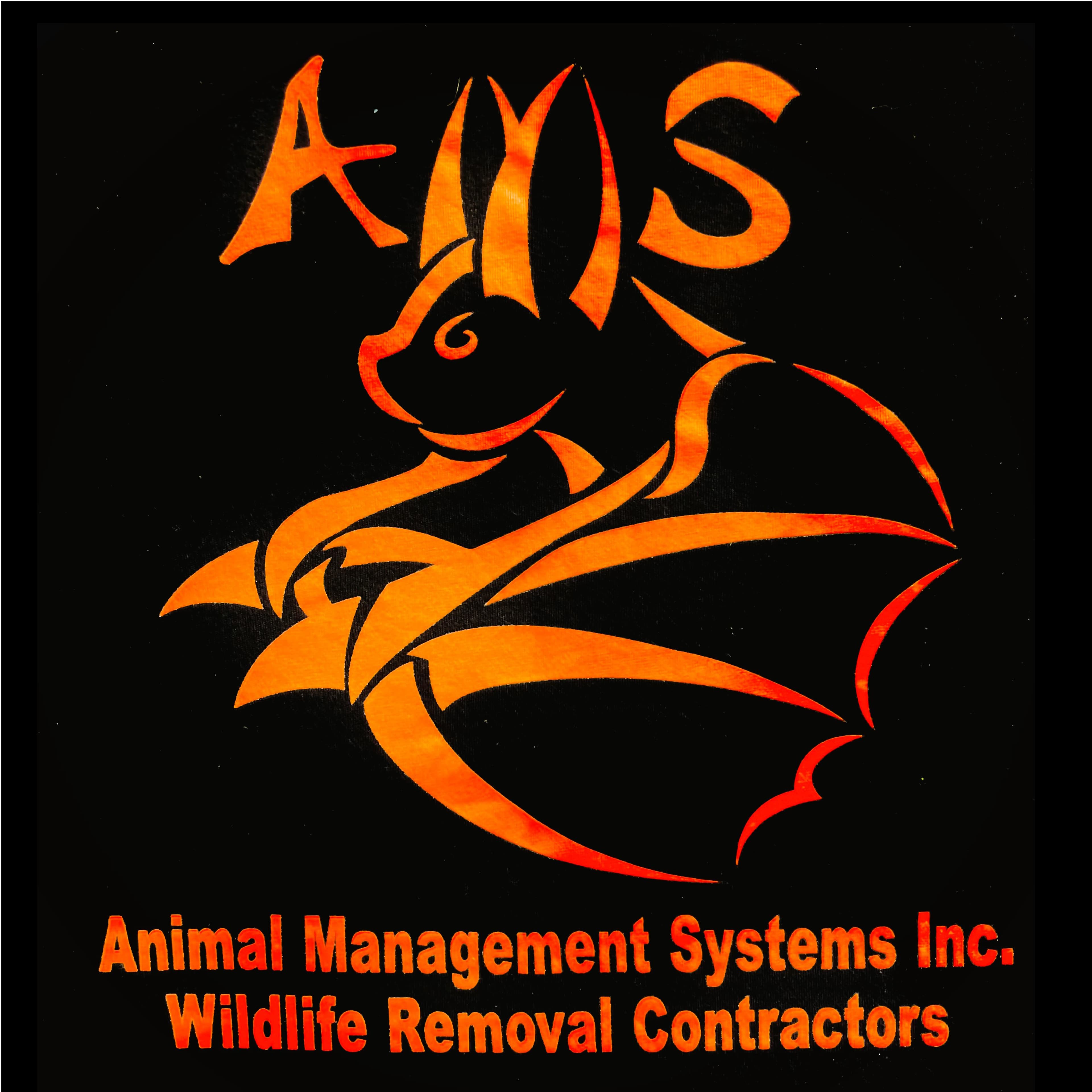 Cover image of AMS company