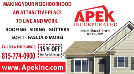 Cover image of Apek Inc company