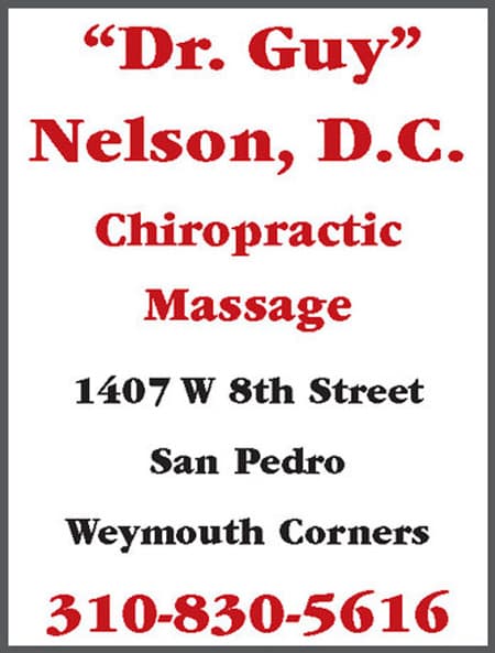 Cover image of Guy Nelson DC company