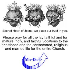 Cover image of Mo -Dad Companies LLC company