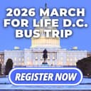 Cover image of Prolife WI company