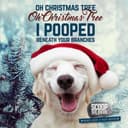 Cover image of Scoop Soldiers company