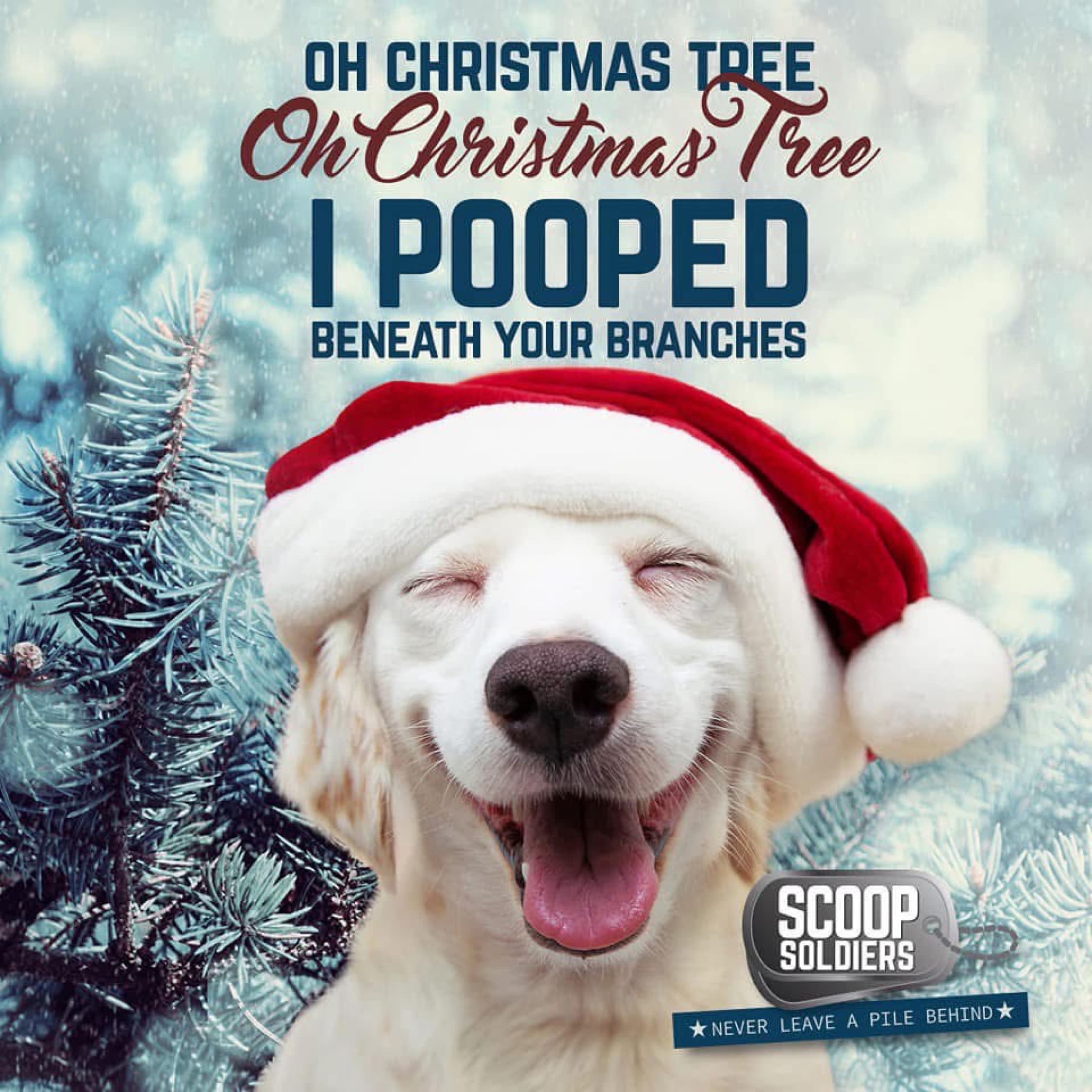 Cover image of Scoop Soldiers company