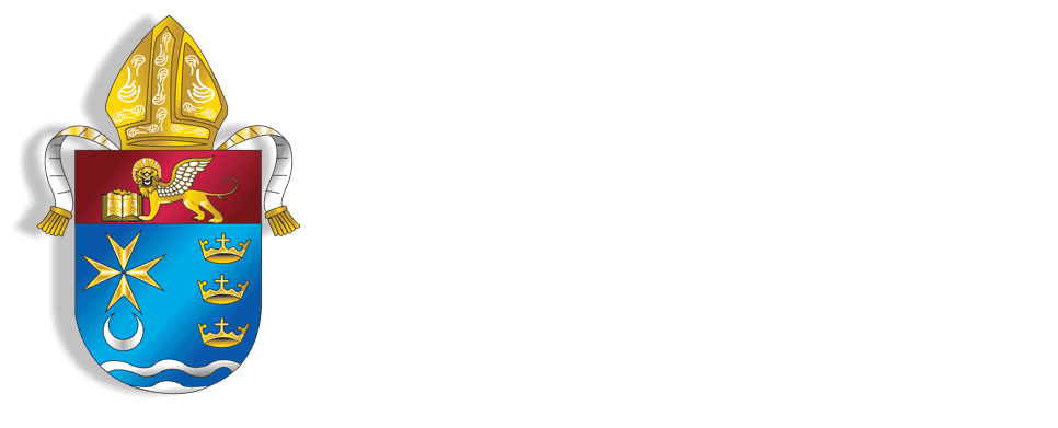Cover image of Diocese of Venice Hispanic Apostolate community