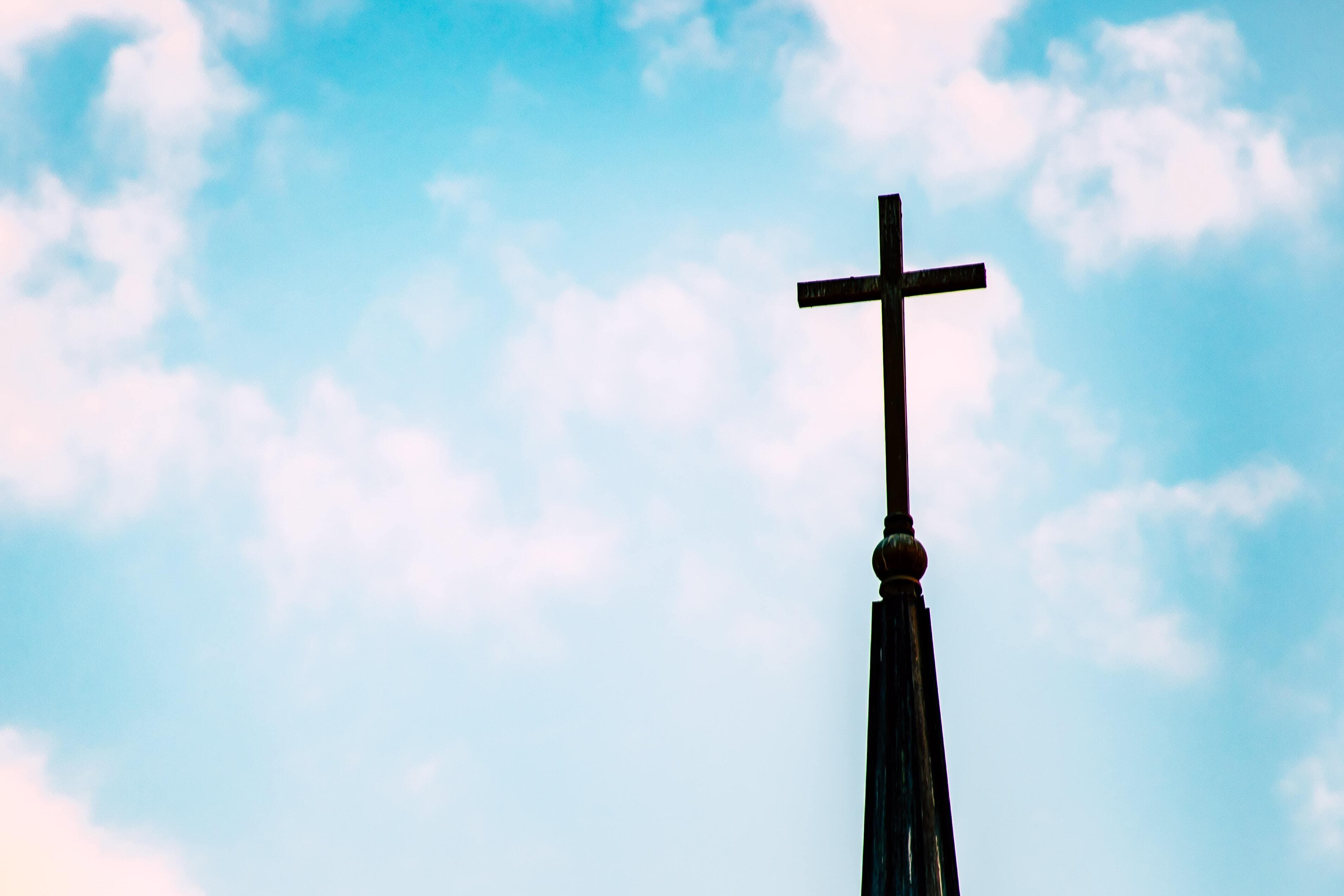 Cover image of St. Ann  community