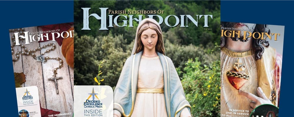 Cover image of Parish Neighbors of High Point community