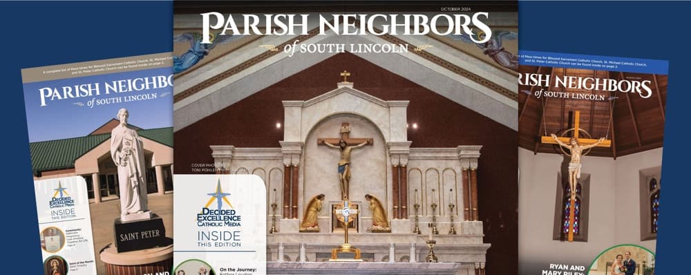 Cover image of Parish Neighbors of South Lincoln community