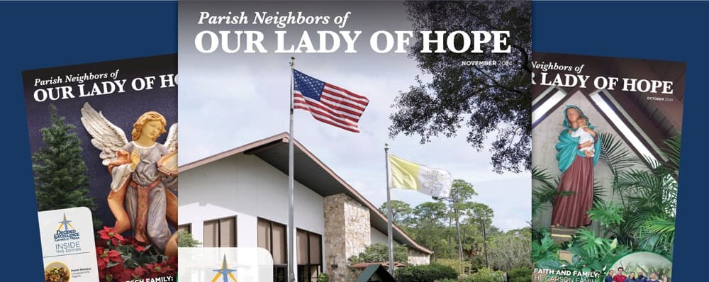 Cover image of Our Lady of Hope community