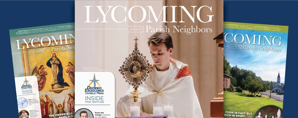 Cover image of Lycoming Parish Neighbors community