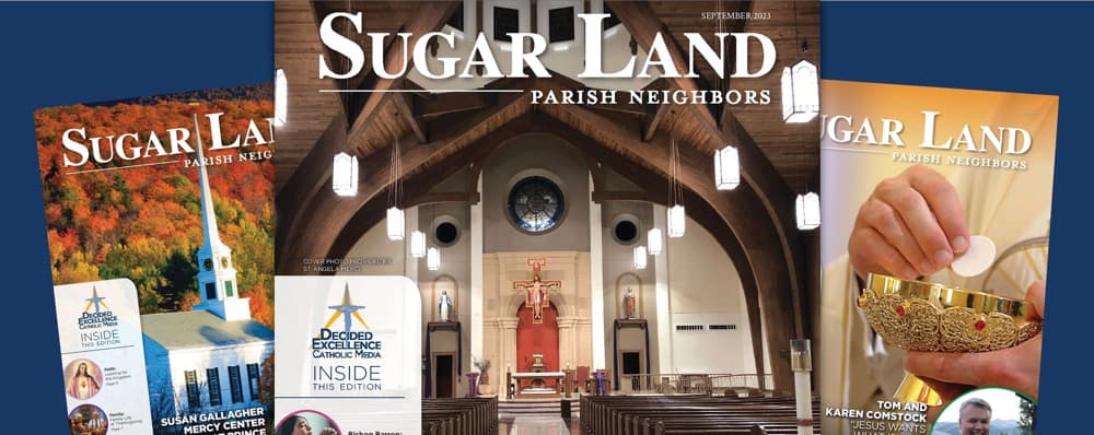 Cover image of Sugar Land Parish Neighbors community