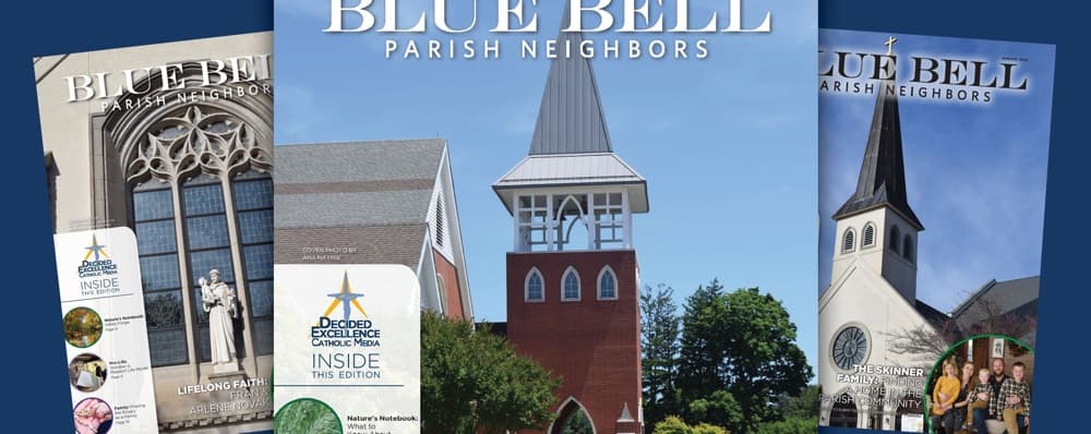 Cover image of Blue Bell Parish Neighbors community