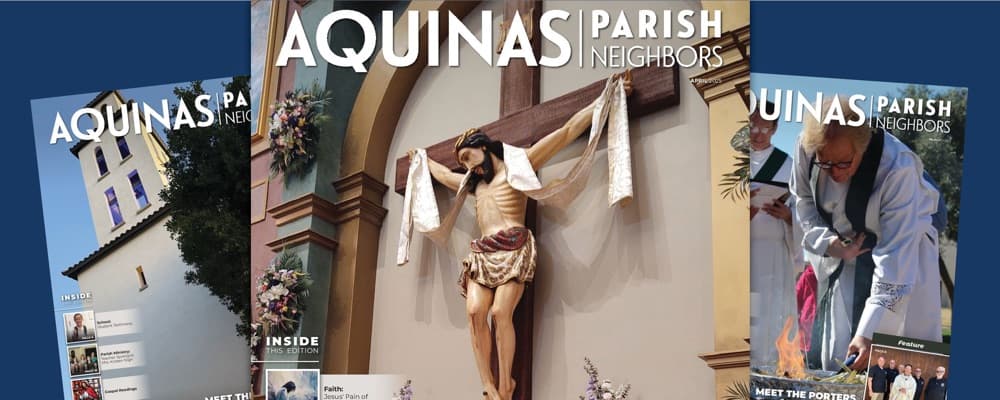 Cover image of Aquinas Parish Neighbors  community
