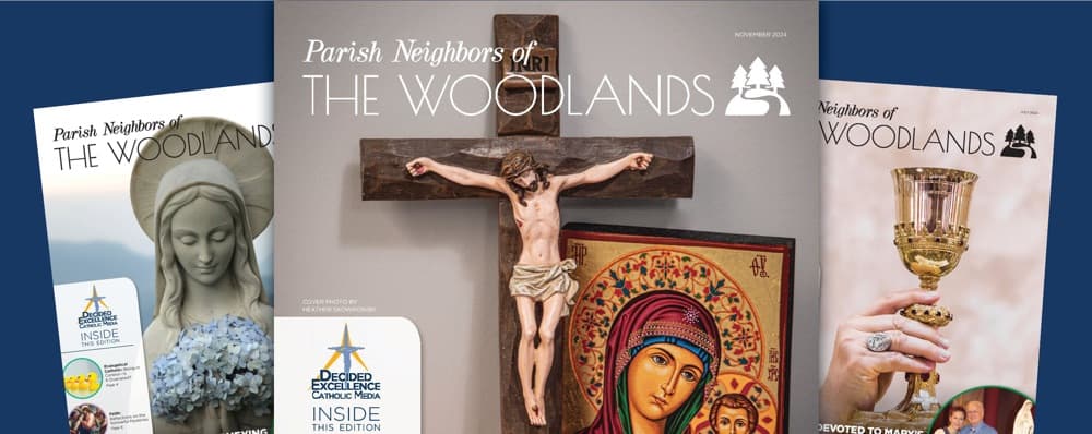 Cover image of Parish Neighbors of The Woodlands community