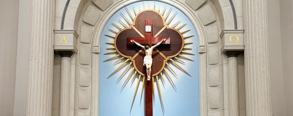 Cover image of St. Paul Roman Catholic Parish community