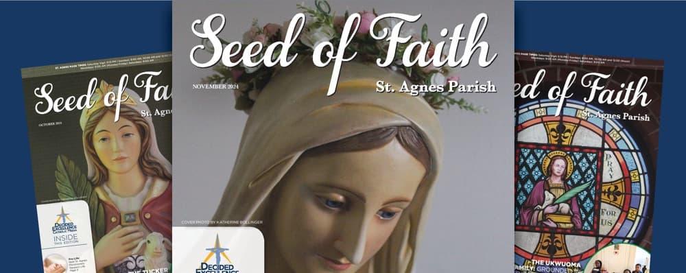Cover image of Seed of Faith: St. Agnes Parish community