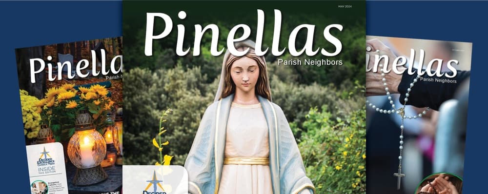 Cover image of Pinellas Parish Neighbors community