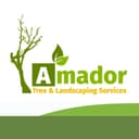 Cover image of Amador Tree & Landscaping Services company Cover image of Amador Tree & Landscaping Services company