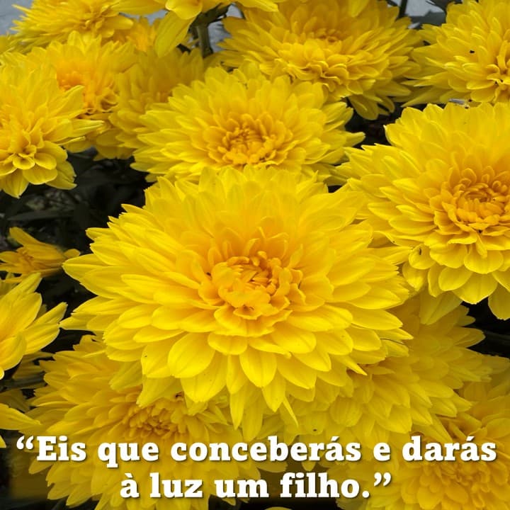 Post image Post image