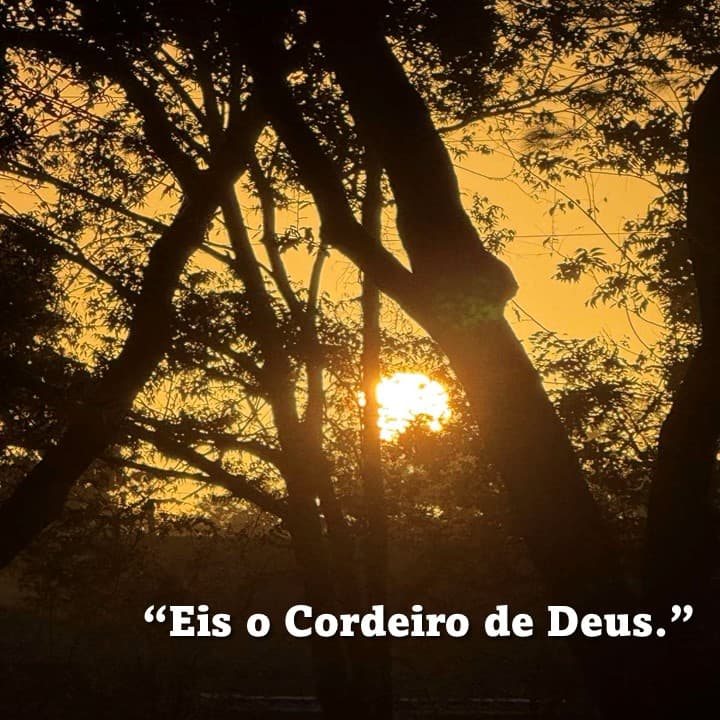 Post image Post image