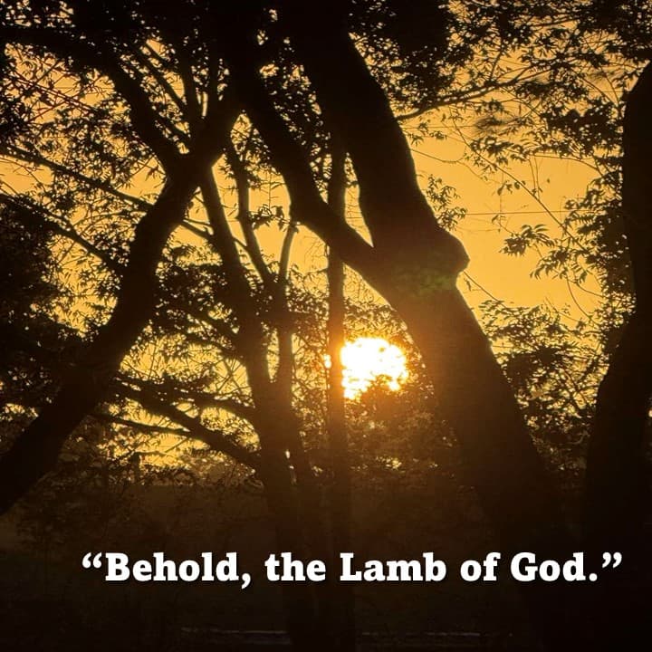 Post image Post image