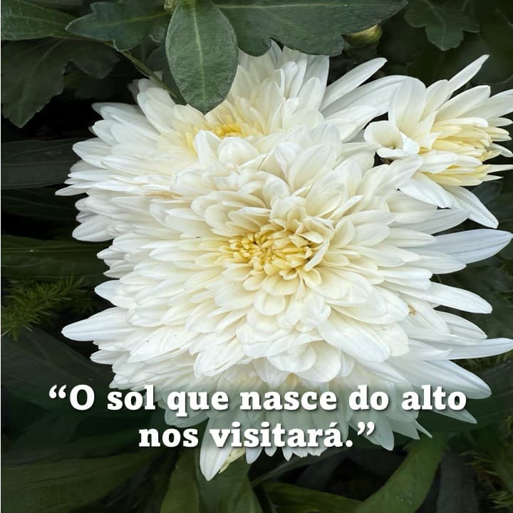 Post image Post image