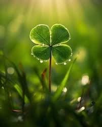 Post image Post image