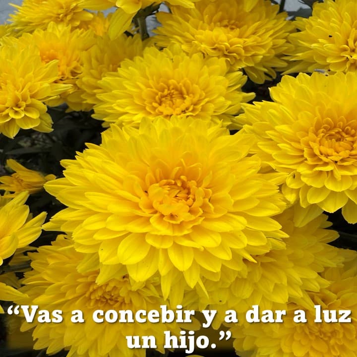 Post image Post image