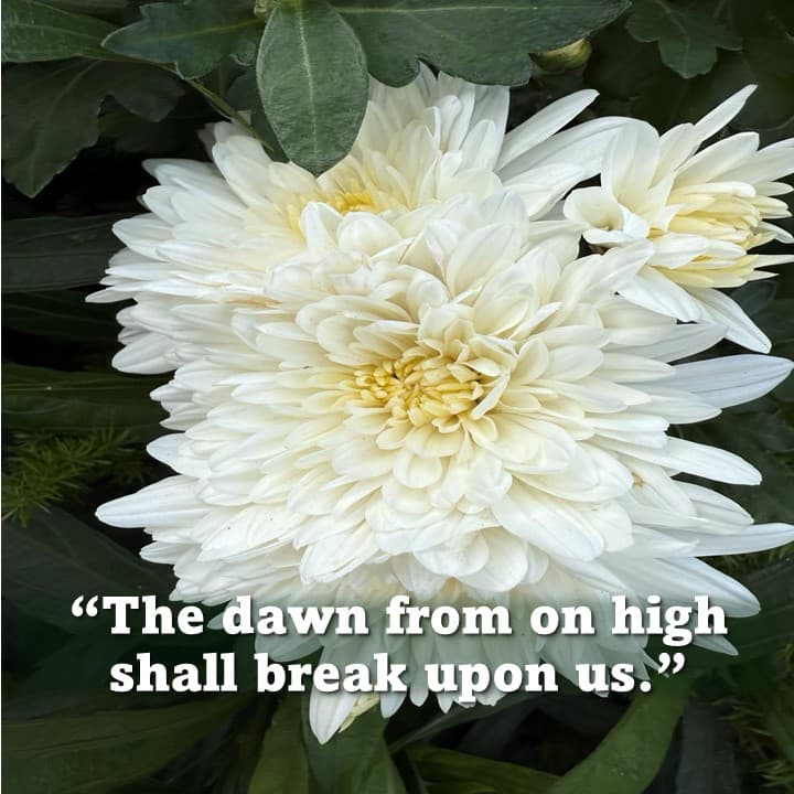 Post image Post image