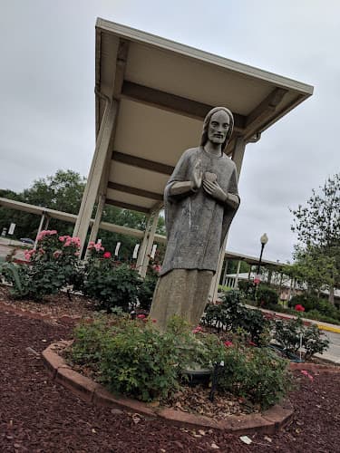 Cover image of Sacred Heart of Jesus community Cover image of Sacred Heart of Jesus community