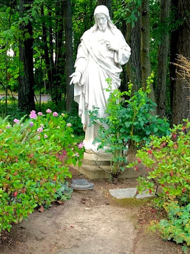 Cover image of St. Francis community Cover image of St. Francis community