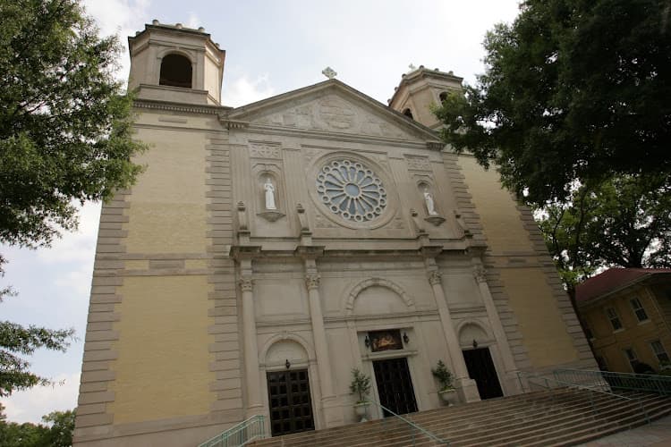 Cover image of Cathedral of the Immaculate Conception community Cover image of Cathedral of the Immaculate Conception community