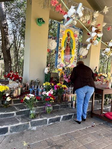 Cover image of Sacred Heart community Cover image of Sacred Heart community