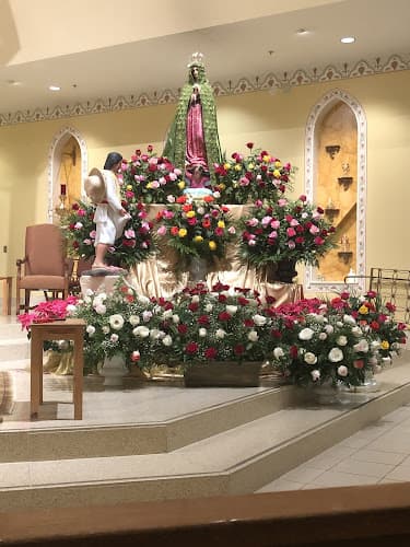 Cover image of St. Anthony community Cover image of St. Anthony community