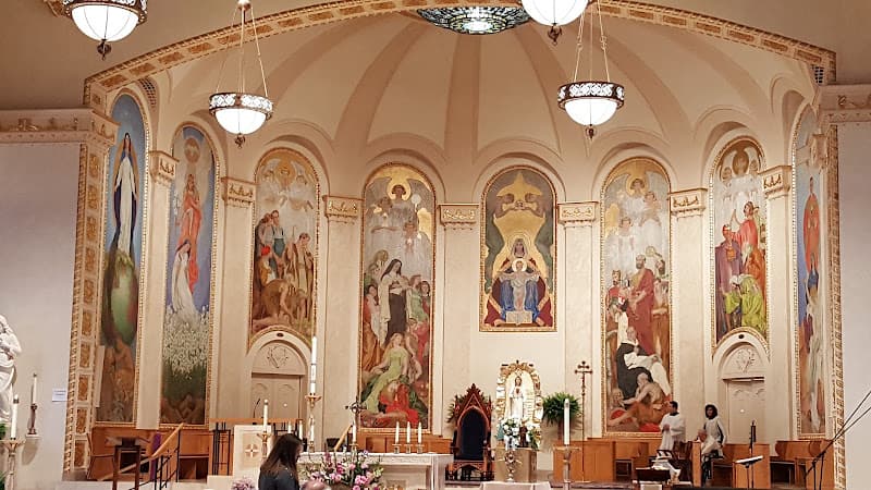 Cover image of St. Mary's Cathedral of the Immaculate Conception community Cover image of St. Mary's Cathedral of the Immaculate Conception community