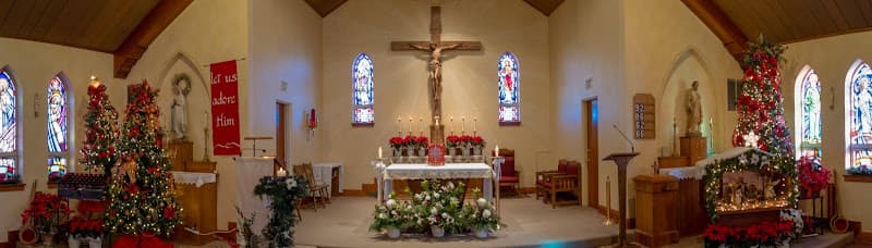 Cover image of St. Patrick community Cover image of St. Patrick community