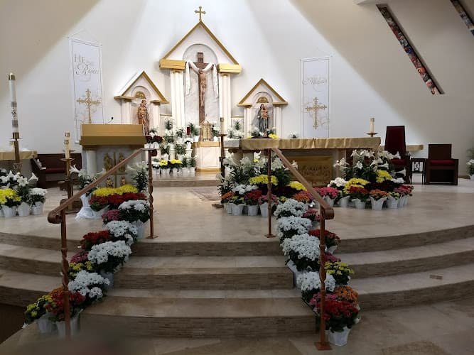 Cover image of Resurrection community Cover image of Resurrection community